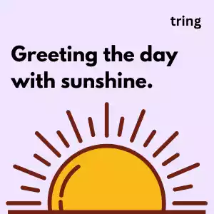 Sunshine Captions for Instagram sunshine-captions-for-instagram