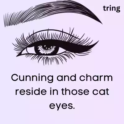 Cat Eye Captions For Instagram cat-eye-captions-for-instagram