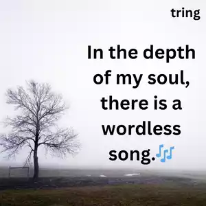 Alone Captions for Instagram Images