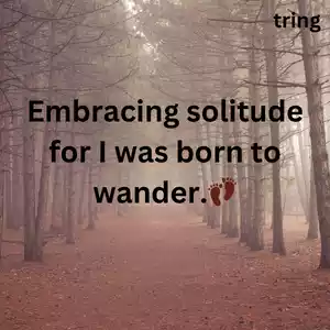 Alone Captions for Instagram Images