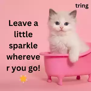 Cute Captions For Instagram Images Cute Captions For Instagram Images