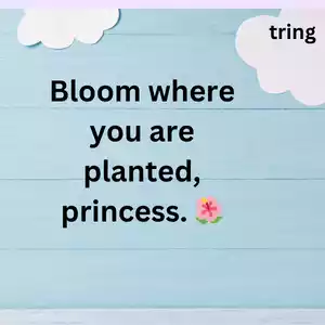 Cute Captions for Girls Cute Captions for Girls