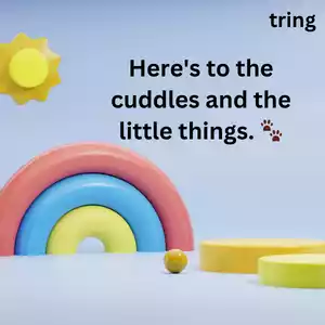 Cute Captions For Instagram Images Cute Captions For Instagram Images