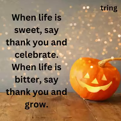 Cute Captions For Instagram Images Cute Captions For Instagram Images