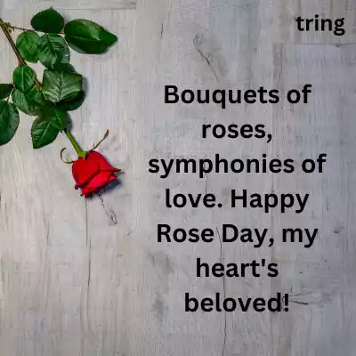 unique-rose-day-captions