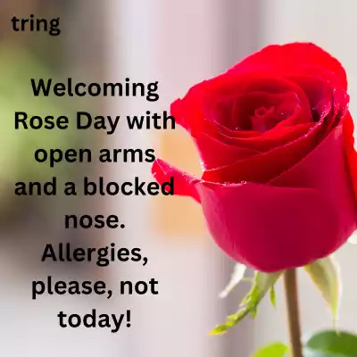 funny-rose-day-captions