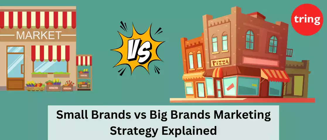 Small Brands vs Big Brands Marketing Strategy Explained