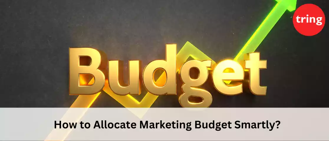 How to Allocate Marketing Budget Smartly?