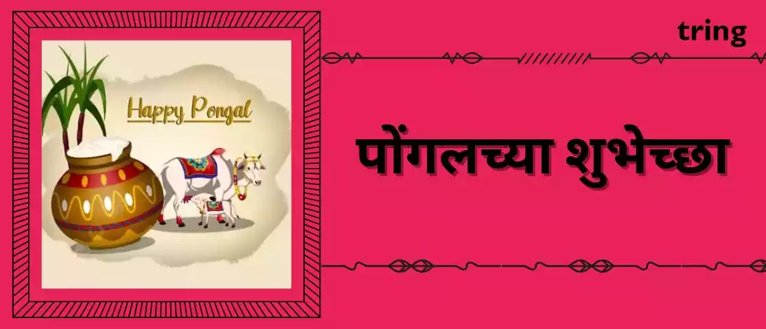 pongal wishes in marathi