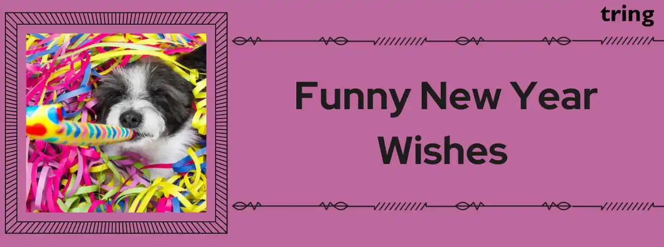 funny new year wishes