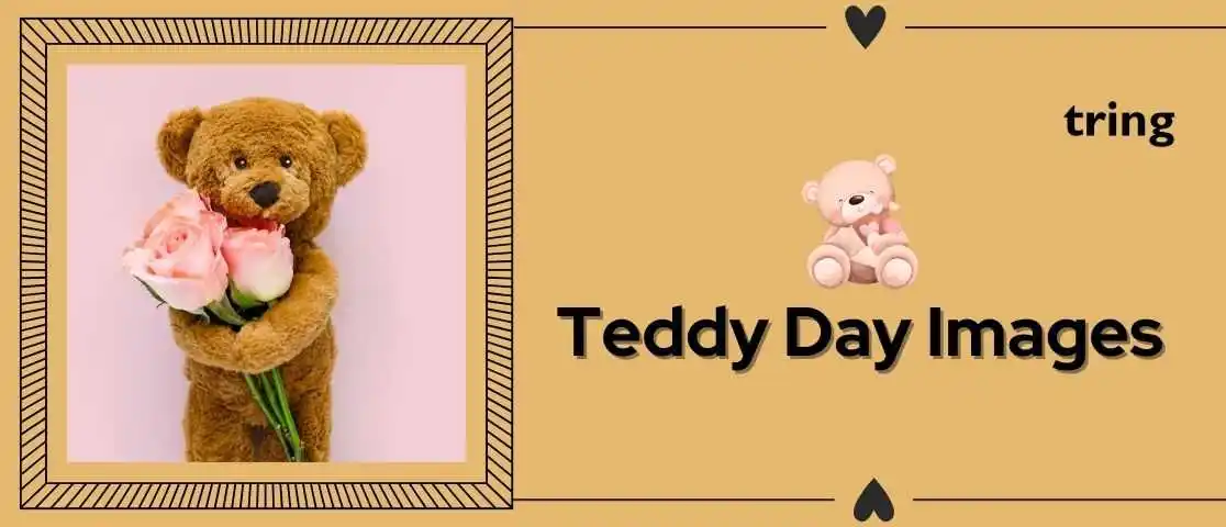 Teddy day banner image